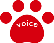 voice